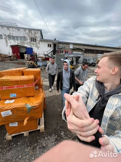 Чай Напрямую из Китая, Оптом, Пуэр, Улун