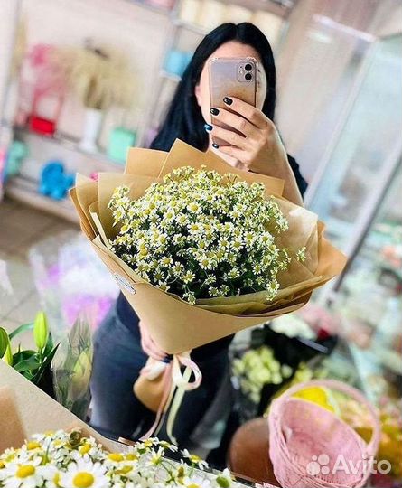 Цветы ромашки