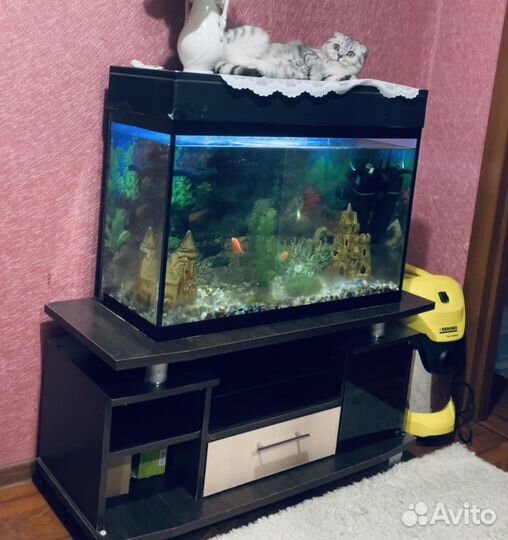 Аквариум для рыбок бу с тумбой