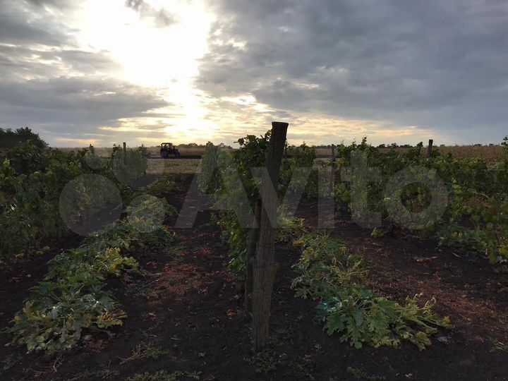 Участок 100 сот. (ИЖС)