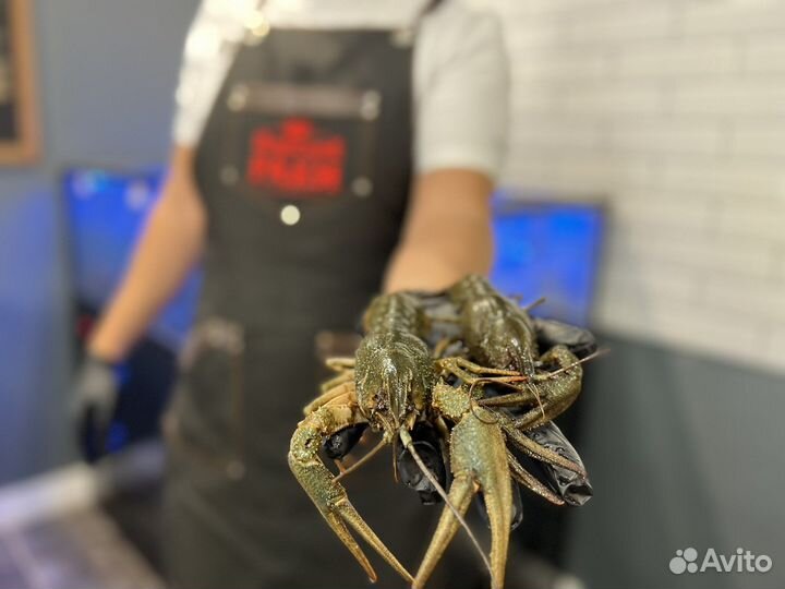 Живые раки с доставкой Местные