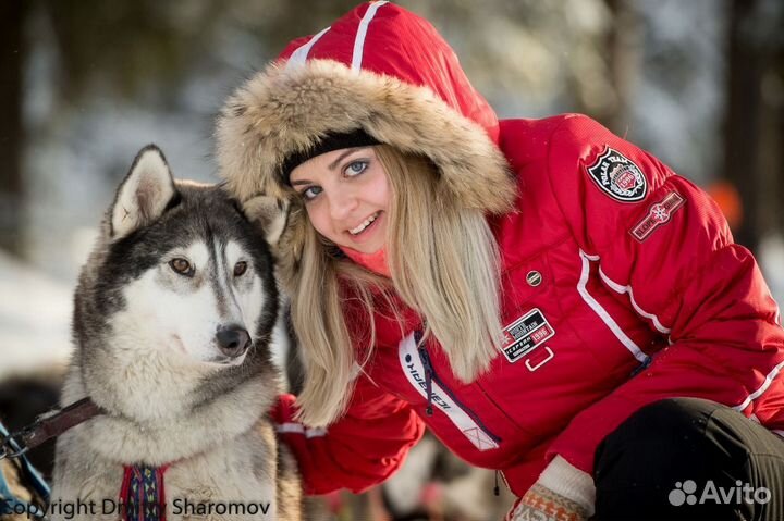 Программа с катанием на хаски