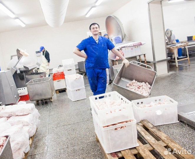 Упаковщик на молокозавод