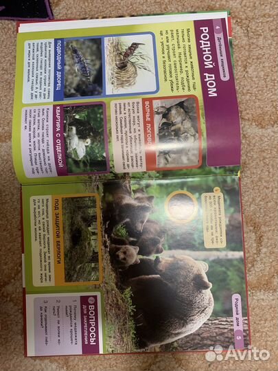 Энциклопедия с заданиями