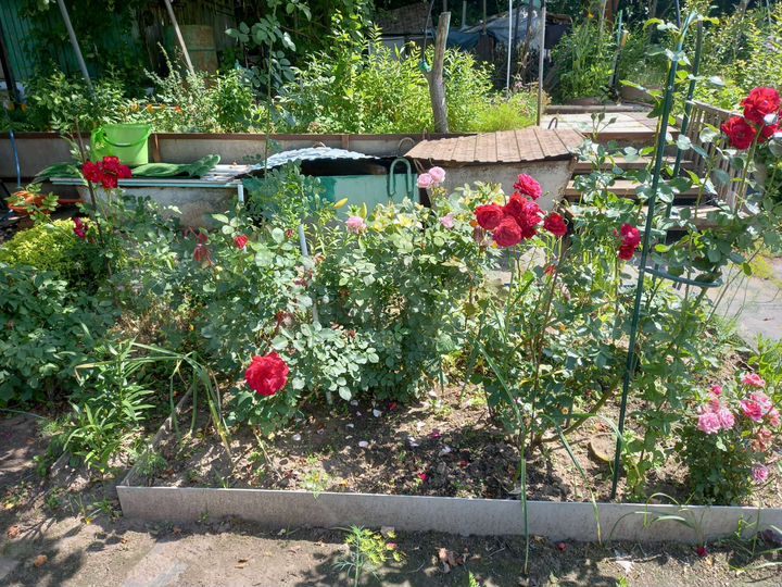 Дача 25 м² на участке 4 сот.