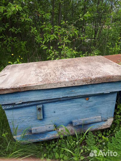 Продам улья пчелиные, бу