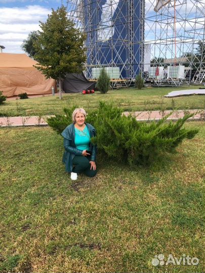 Проводником