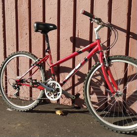 gt palomar