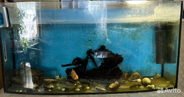 Аквариум