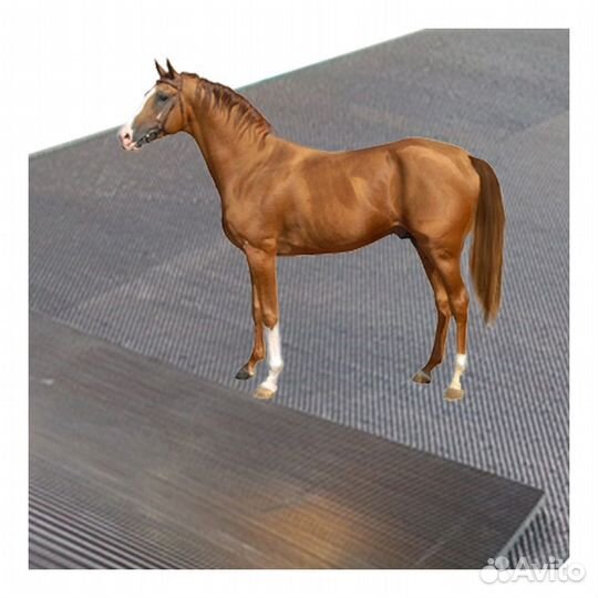 Полы для конюшен(в виде матов) 