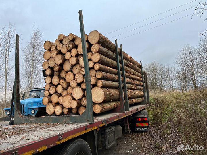 Лес кругляк строевой