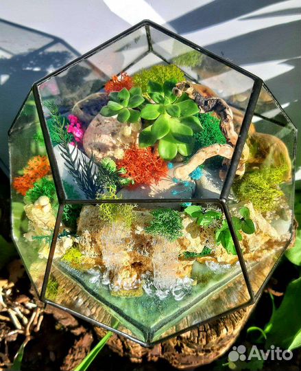 Цветы в подарок