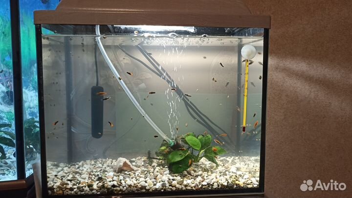 Аквариум