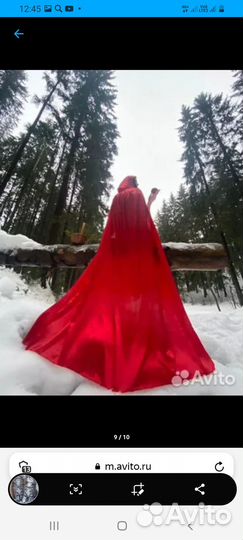 Животные, аренда,доставка