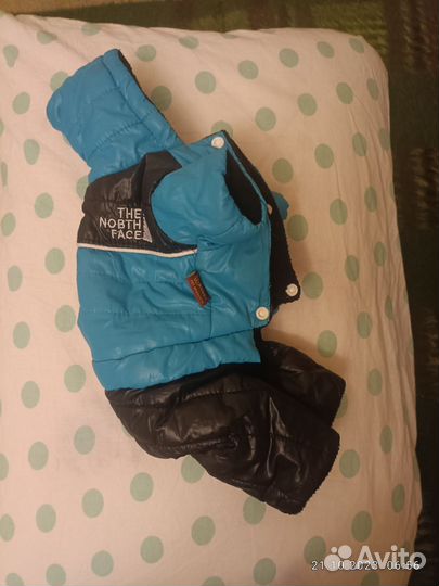 Одежда для маленьких собак