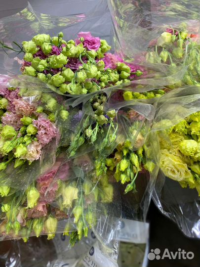 Эустома опт / розница