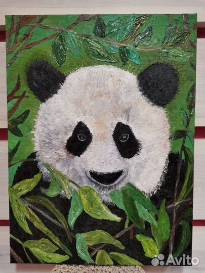 Панда обыкновенная