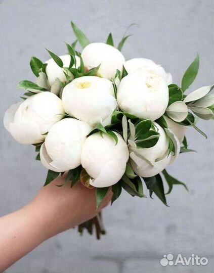 Пионы Букет пионов