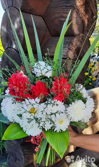 Цветы. Букеты. Астра на срез