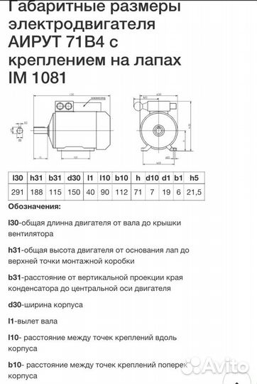 Электродвигатель аирут на лапах