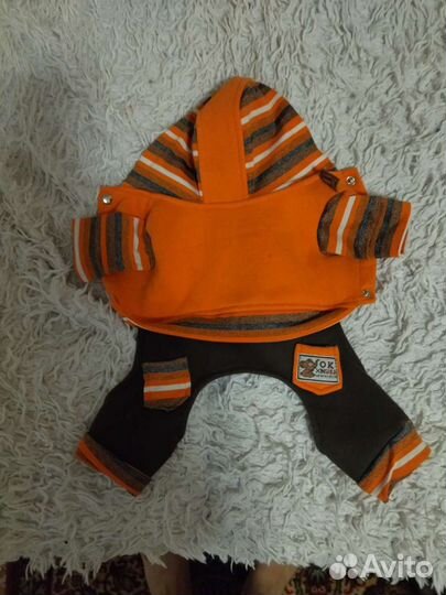 Боди для маленькой собачки