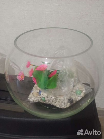 Аквариум