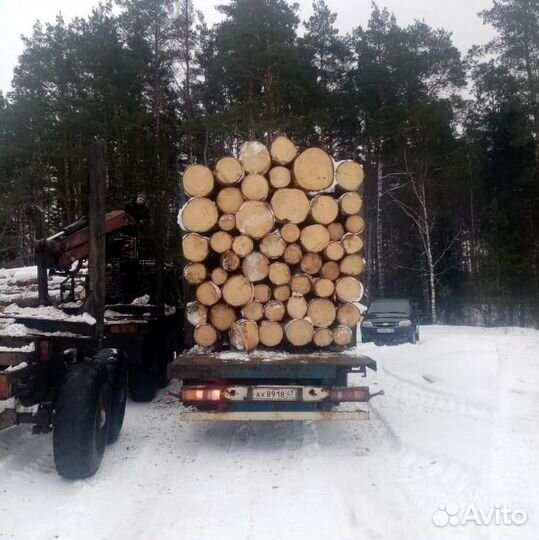 Лес кругляк строевой