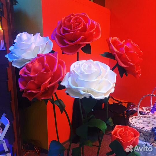 Большие Ростовые Цветы