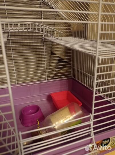 Клетка для грызунов