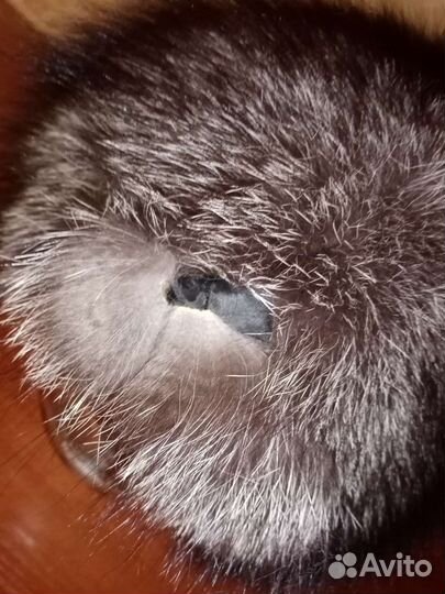 Шапка женская