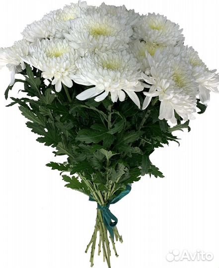 Доставка цветов и букетов