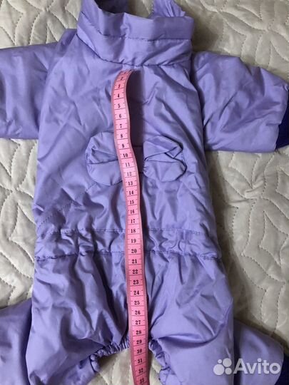 Одежда для собак мелких пород