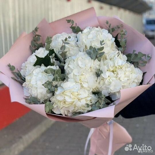 Букет из 9 белых гортензий с эвкалиптом