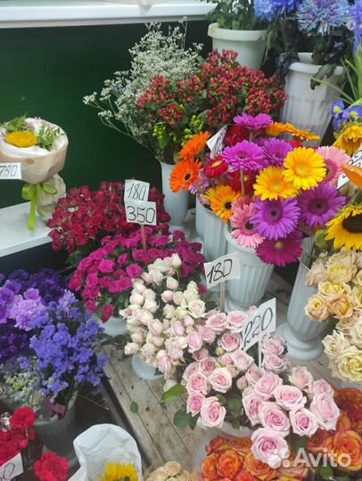 Ааа роза красно-желтая,хризантема,гербера цветные