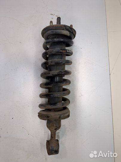 Амортизатор подвески Nissan Navara, 2006