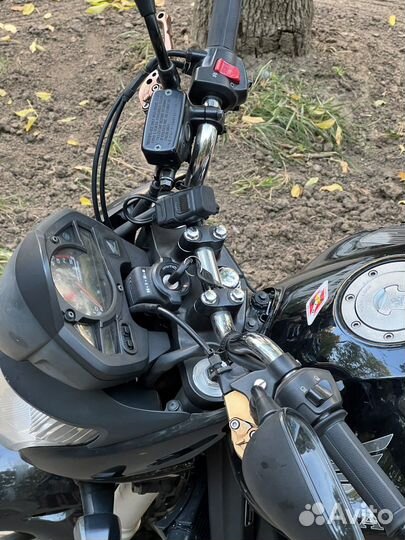 Мотоцикл honda cb 600 hornet