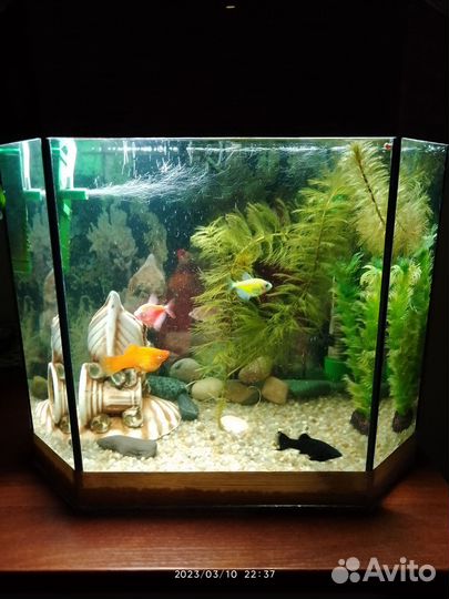 Аквариум 26литров стекло