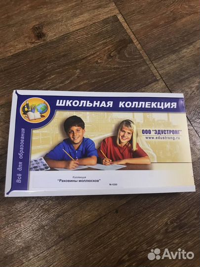 Коллекция Раковины моллюсков