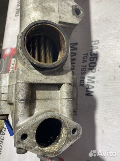 Модуль еgr MAN