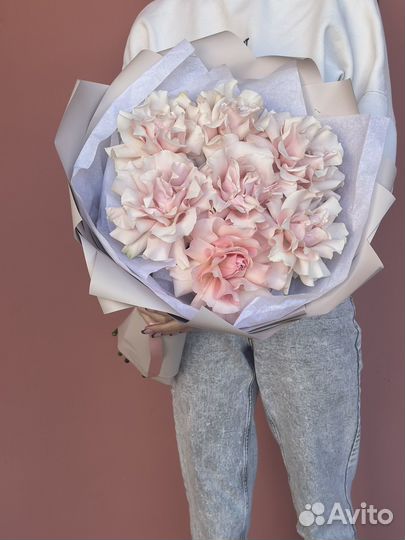 Французская роза, доставка цветов