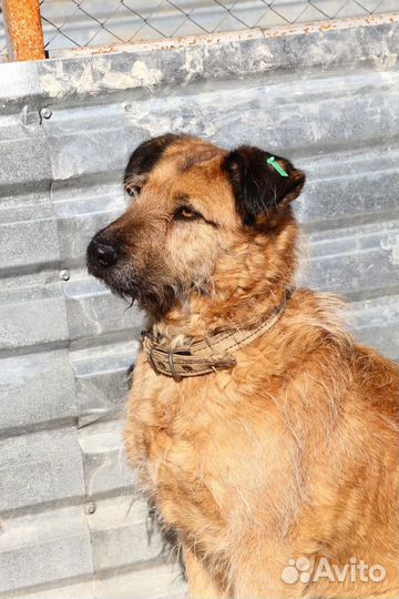 Мальта бесплатно