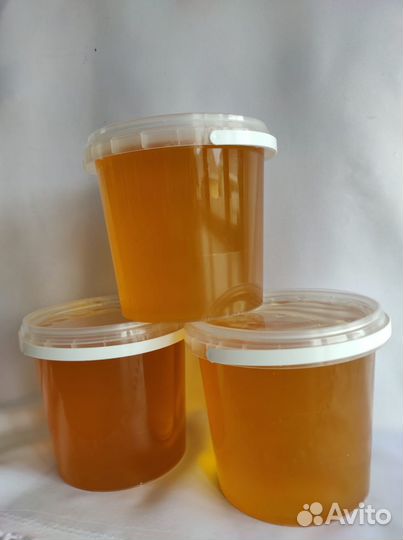 Мёд из личной пасеки 2023