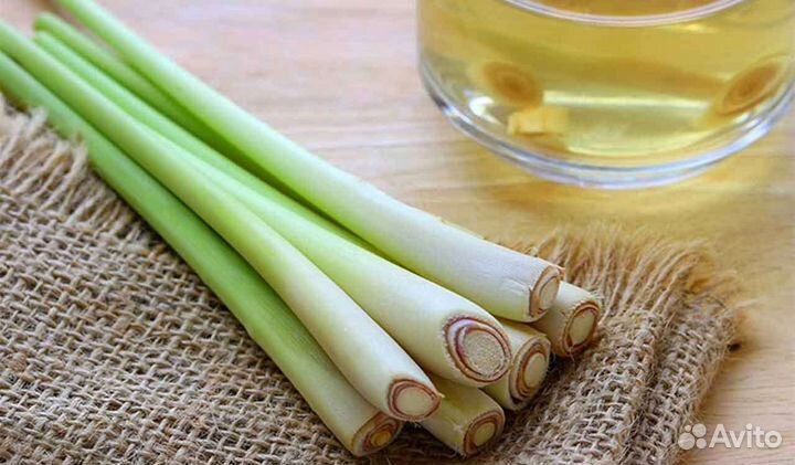 Лимонная трава(семена)