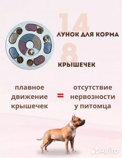 Новая кормушка-игрушка для животных