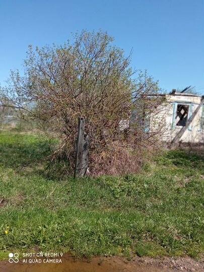 Участок 22 сот. (ИЖС)