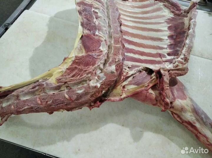 Мясо марала