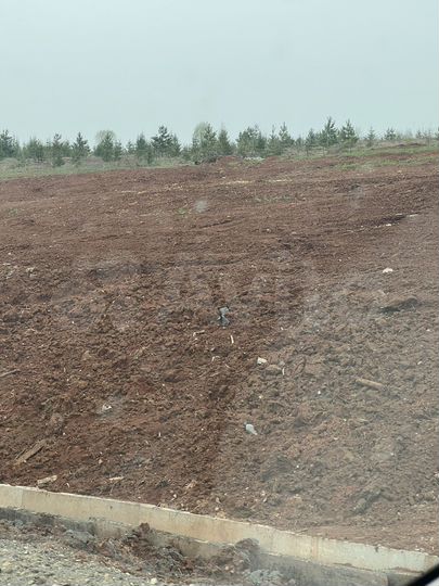 Участок 8,99 га (СНТ, ДНП)