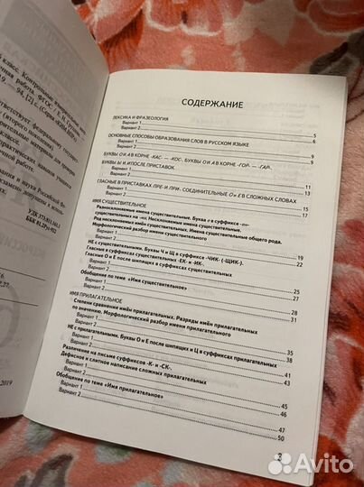 Русский язык впр 6 класс