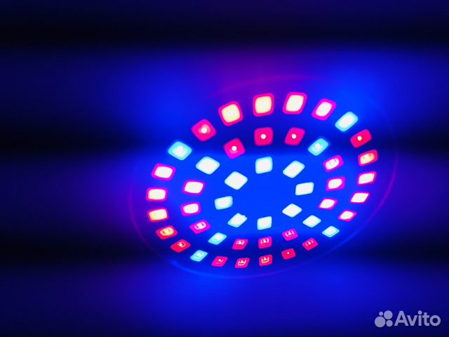 Фитолампа для растений