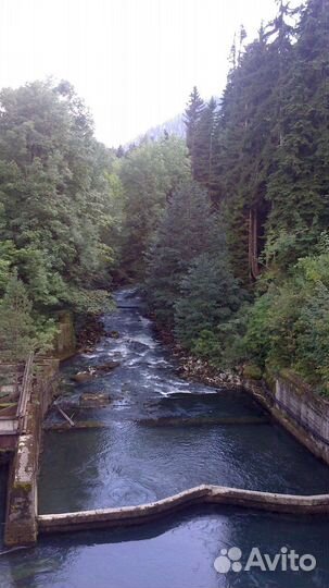 Экскурсионный Тур в Абхазию 8-15 сентября 2023